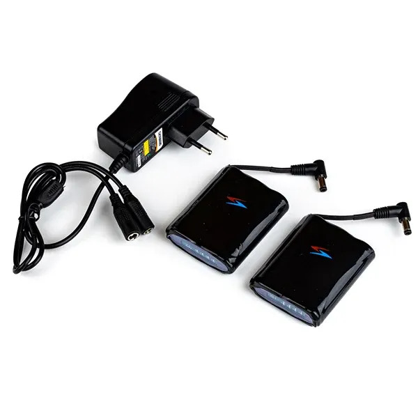 Richa Richa 12v-2ah battery set (eu plug)